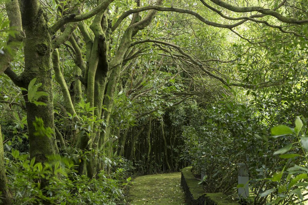 Quinta Da Mo Guest House Furnas  Eksteriør bilde